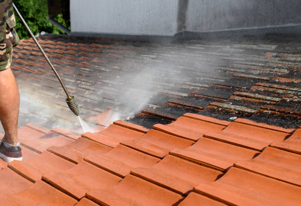 Best Residential Pressure Washing Services  in Wonder Lake, IL