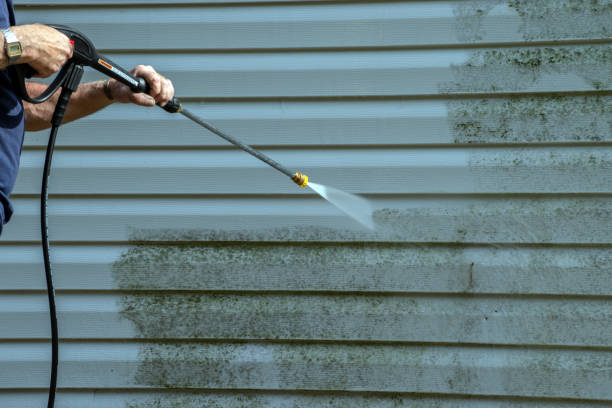 Deck Cleaning Services in Wonder Lake, IL