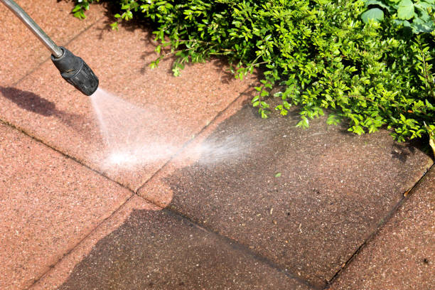 Best Commercial Building Pressure Washing  in Wonder Lake, IL